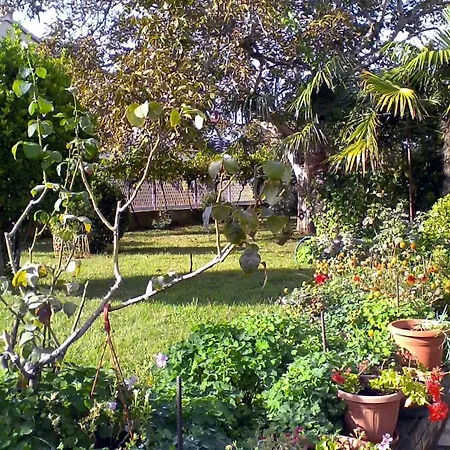 Nice In *